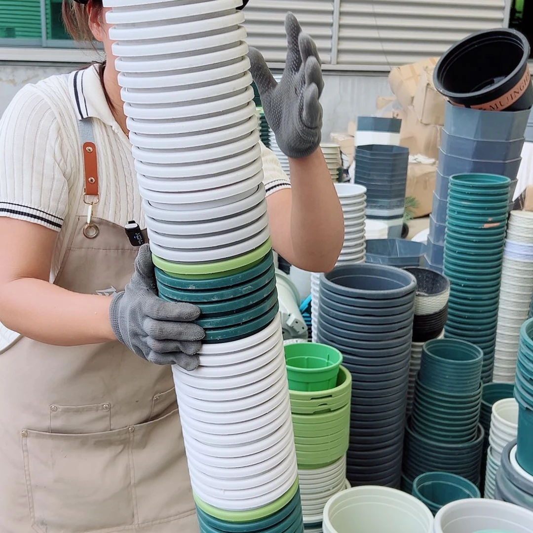 瑕疵四季盆1#混色15个无托