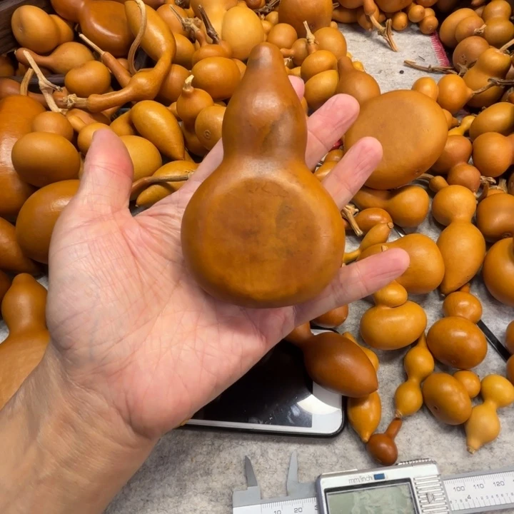 Z****?株洲的株洲的一把花皮夹扁葫芦