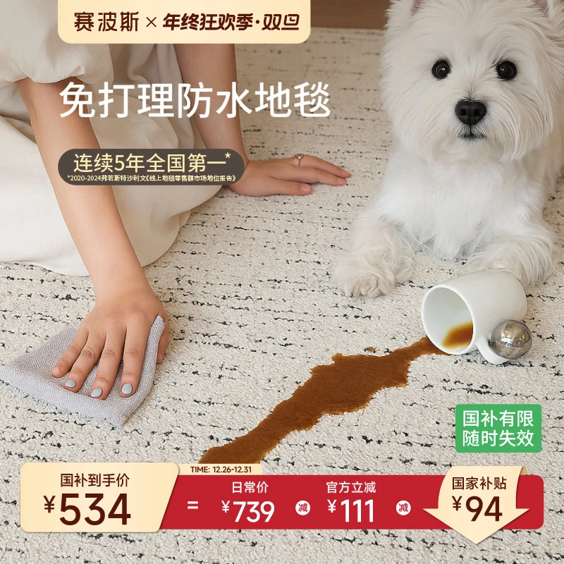 赛波斯小香厅防水地毯轻奢高级感法式原木奶油极简风沙发客厅卧室