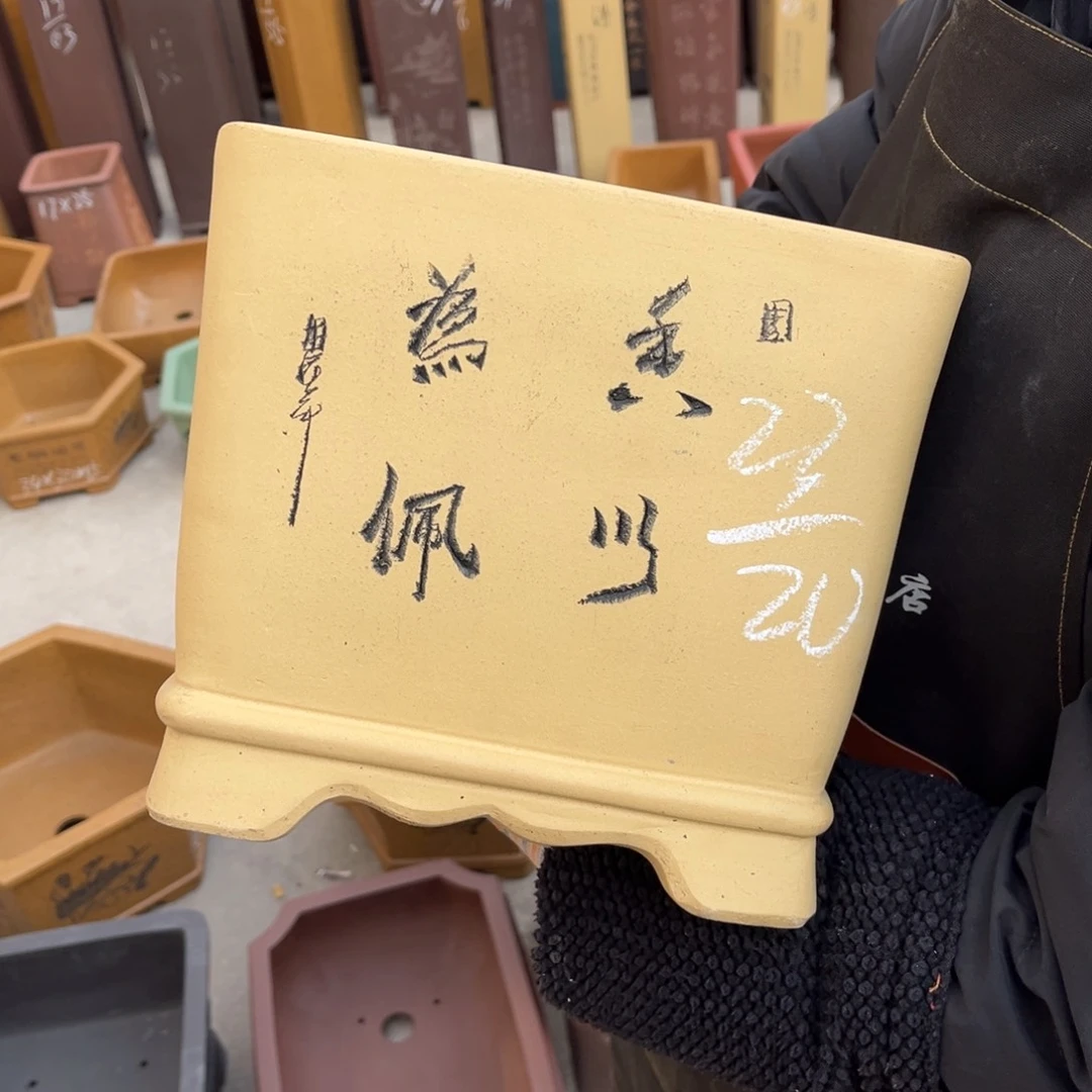 紫砂花盆盆景艺术