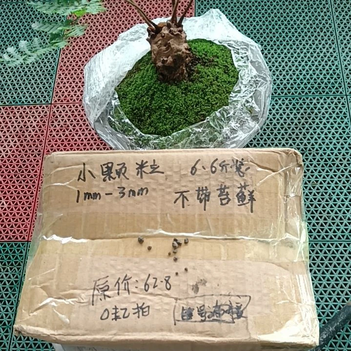 巳***兰菌颗粒   小颗粒6.6斤