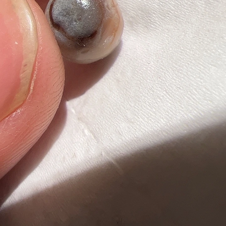 香榧木你的时候你