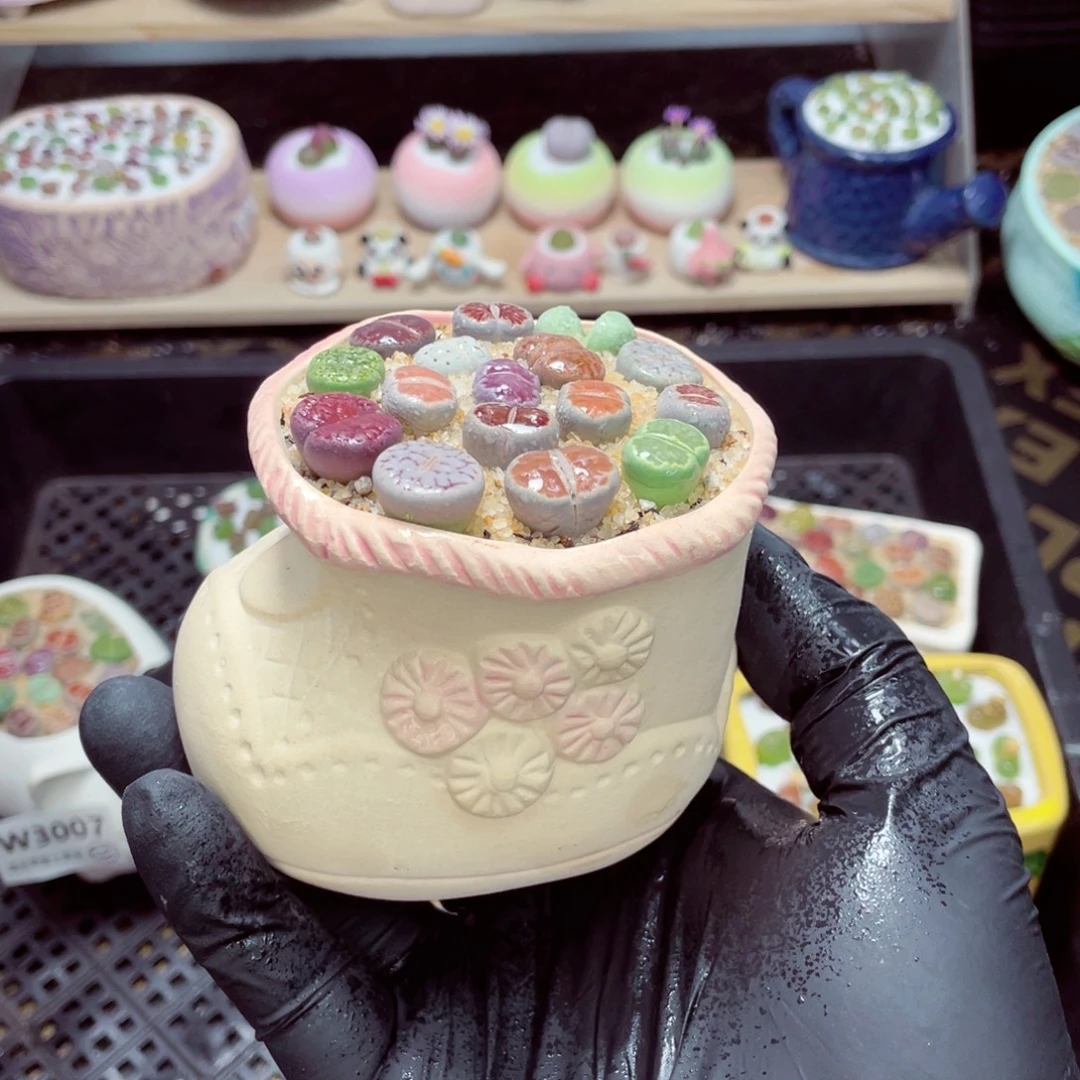 夜间零下地区拍保温箱w3009