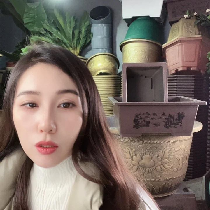 盆景盆50口径花盆四个