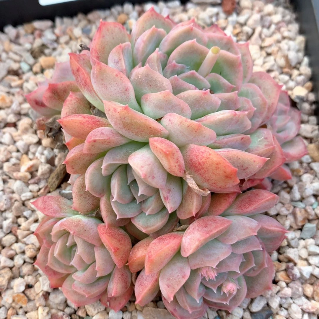 5760瑕疵不售后特价处理