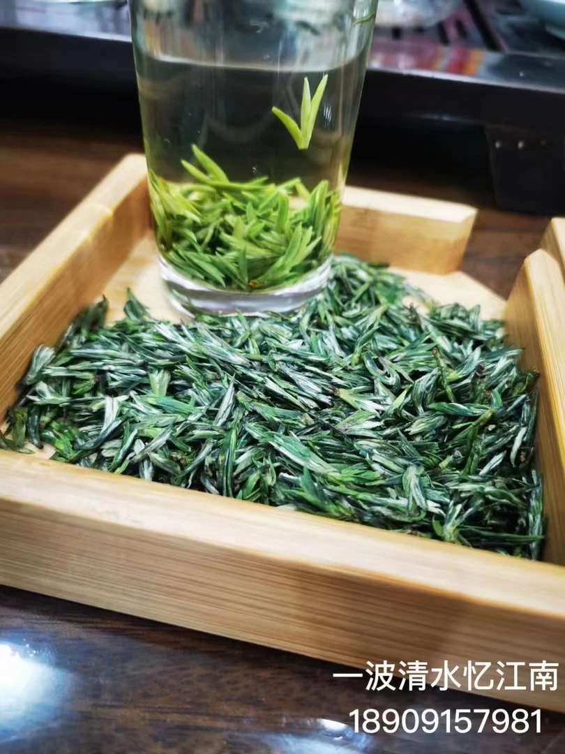 2025新茶明前新茶开园茶安康紫阳富硒茶翠芽绿茶嫩芽浓香鲜爽回甘
