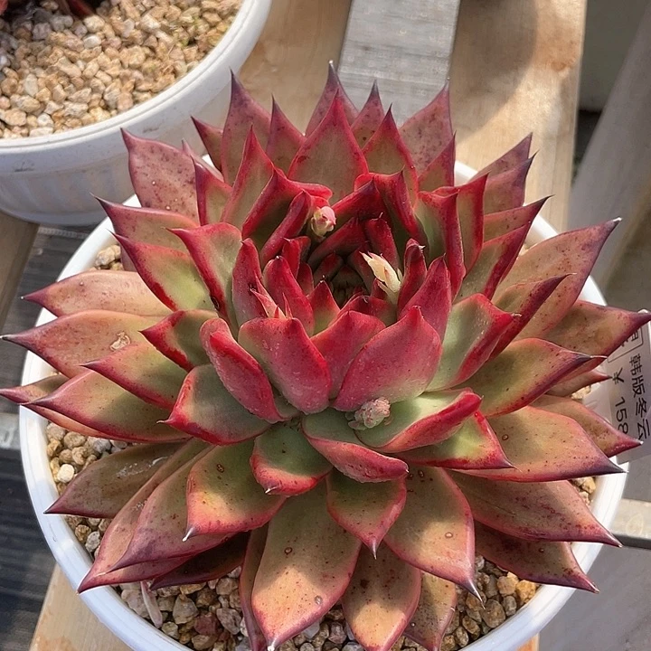 ?***弯                1-14