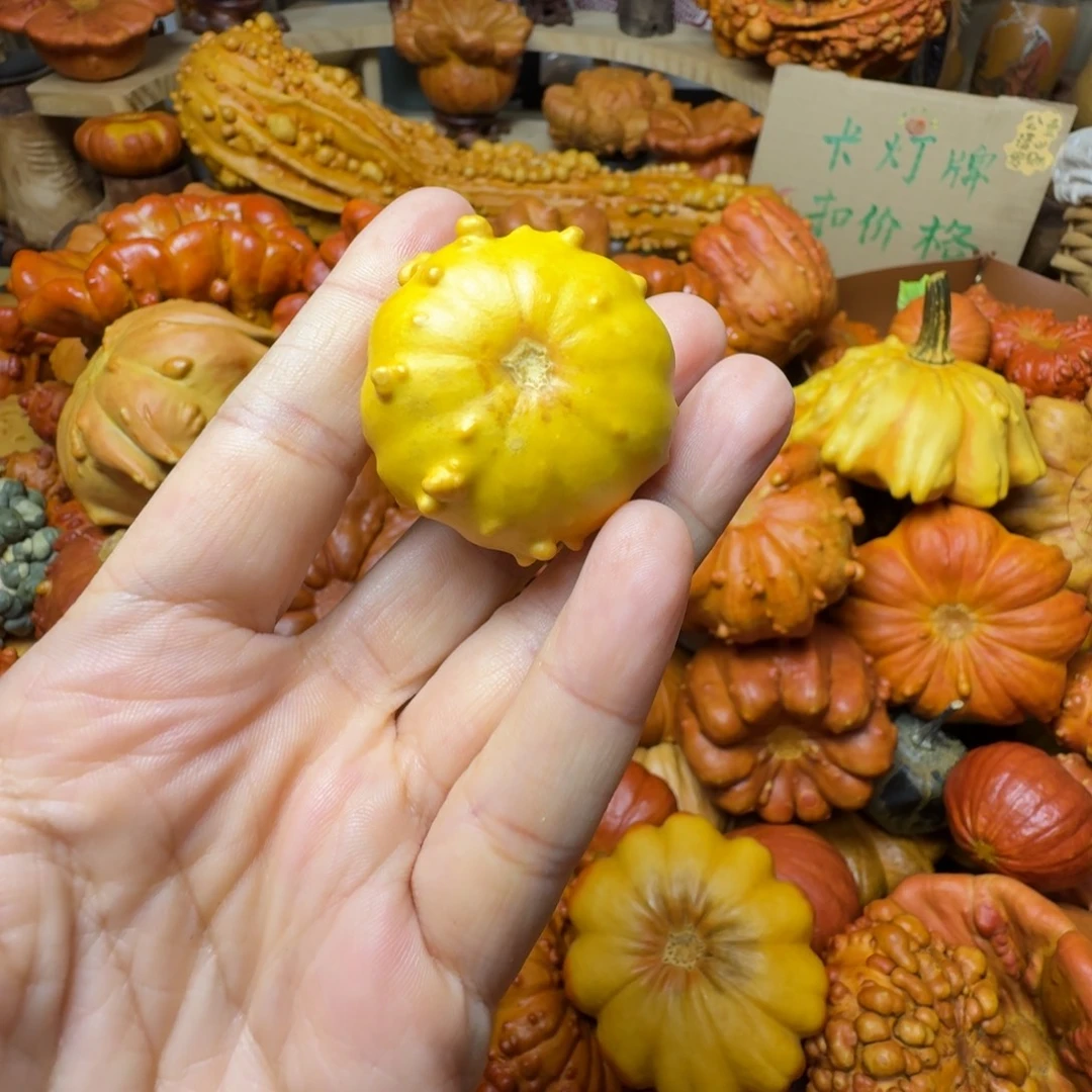 咘****特价花皮葫芦不退不换