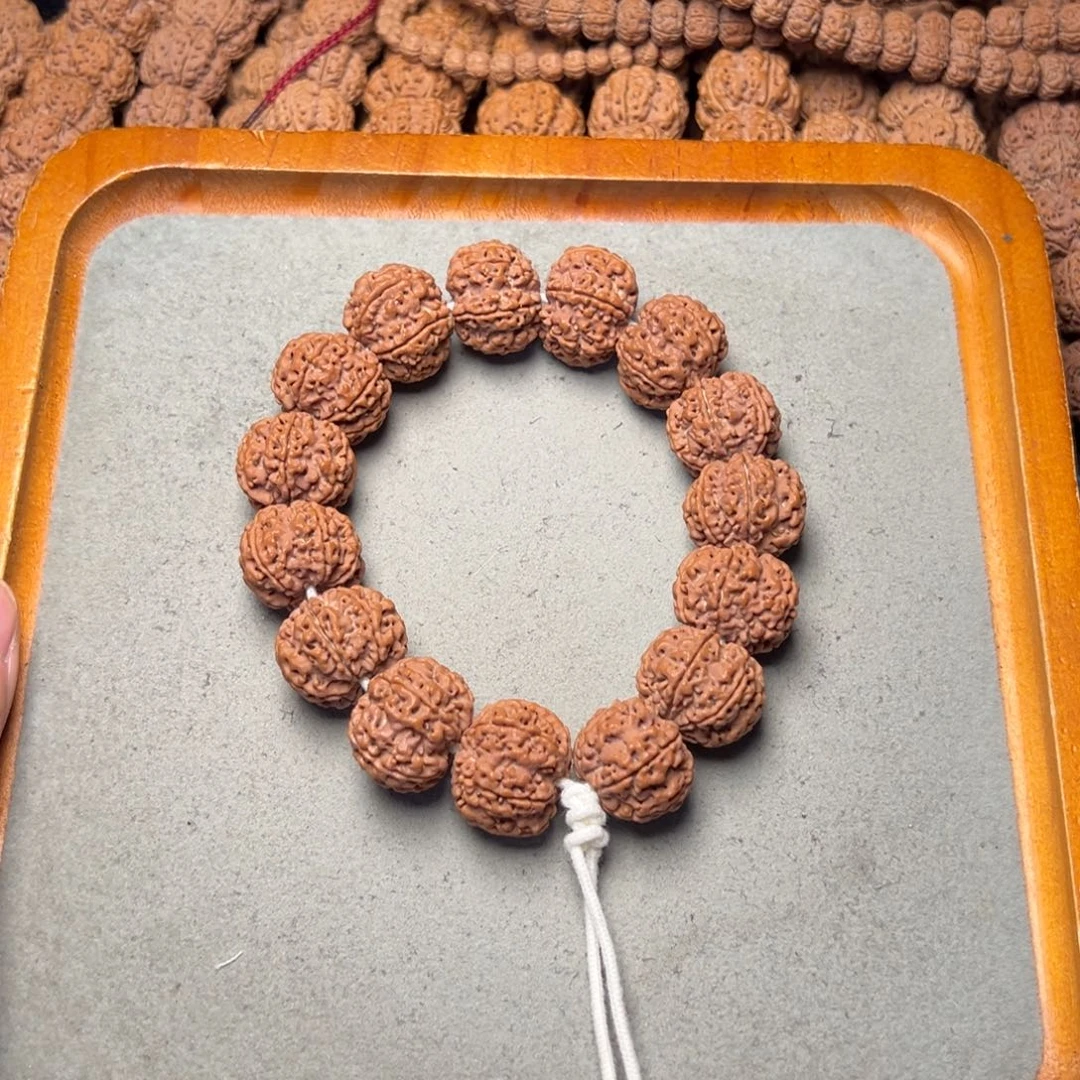 菩提20号金刚菩提六瓣22