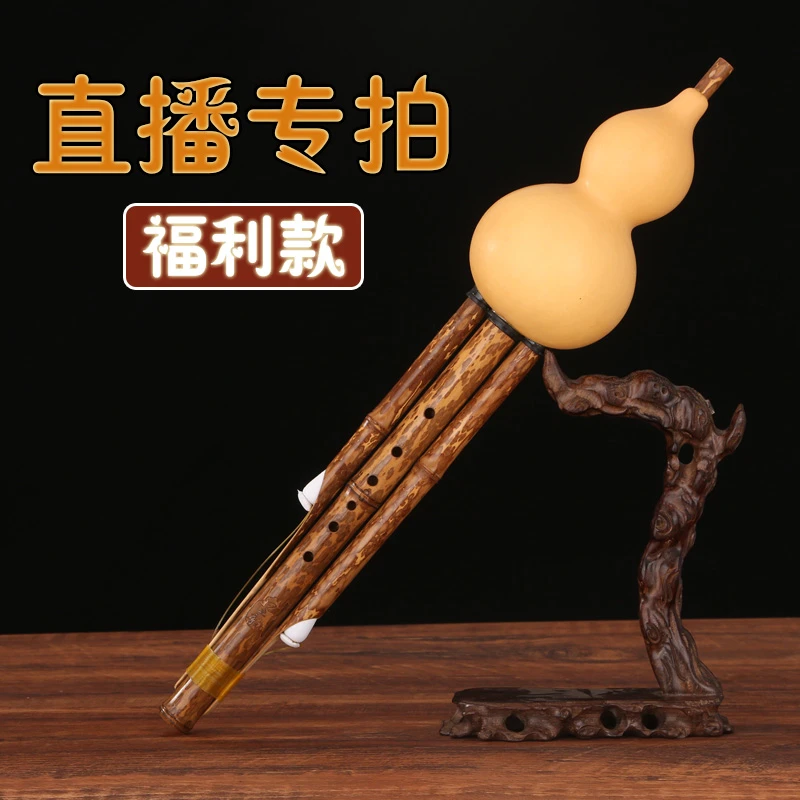 直播福利葫芦丝专拍
