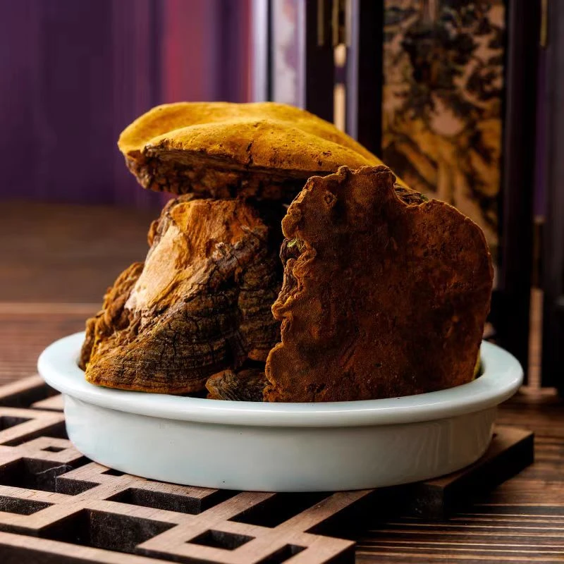 【桑黄】云南大山老树桑树黄正品泡水煮水营养250克非枸杞