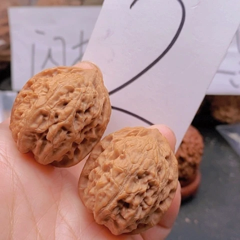 吊坠桃核32➕观音肚核桃