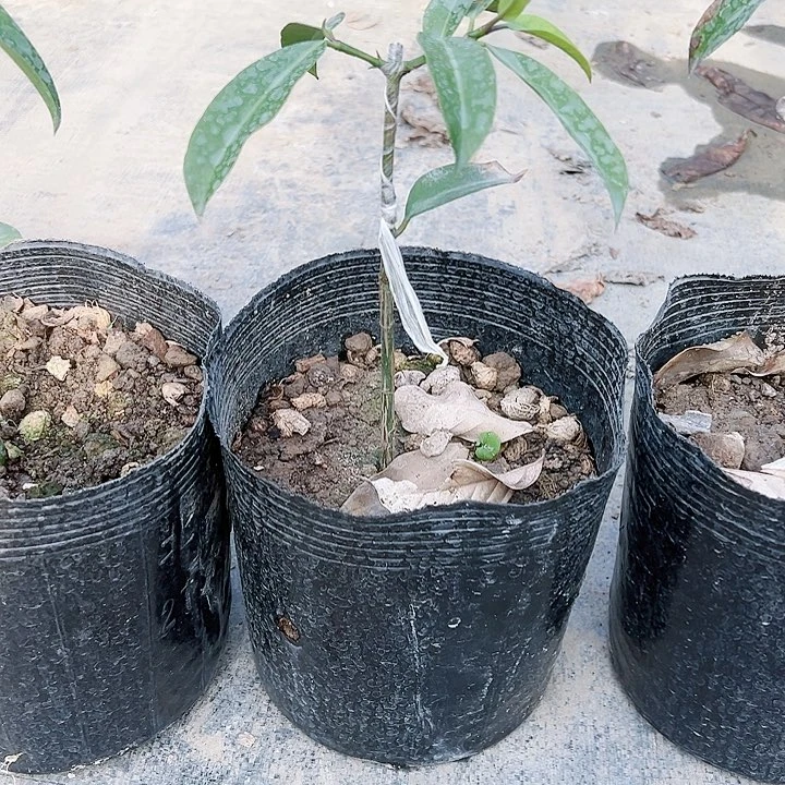 张*傅245677777777777