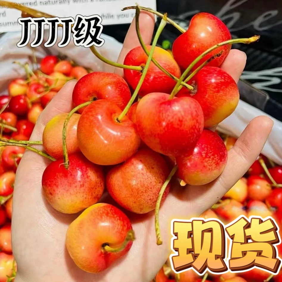 现货空运雷尼尔车厘子J-4J礼盒装黄车厘子金车顺丰发货内附果径卡