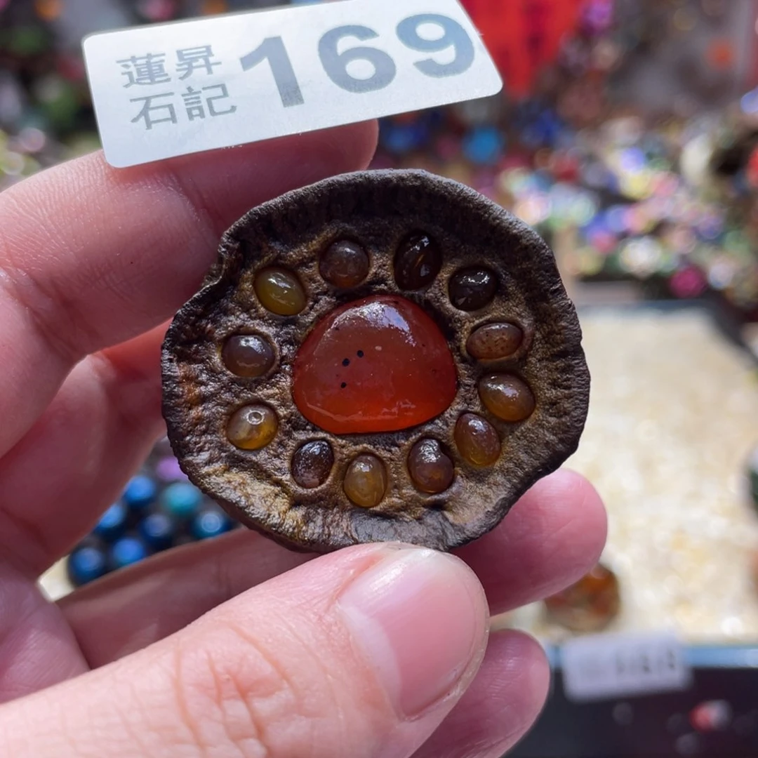 核桃木/黑胡桃（胡桃木）169