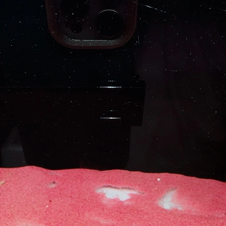 海水鱼蓝宝石鬼王雷龙