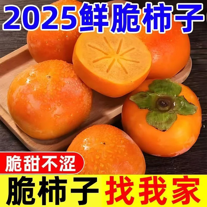 2025现摘现发陕西正宗巧克力脆柿新鲜水果脆柿子XY