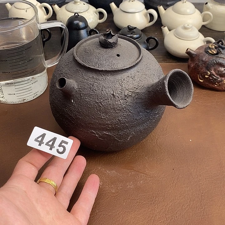 445煮水壶大容量看好拍