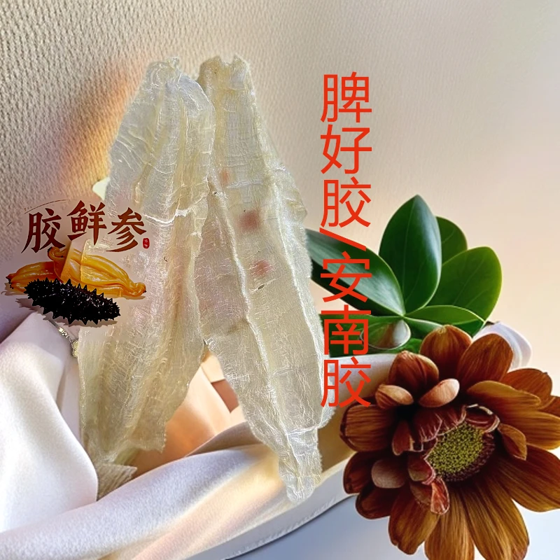 【高品低价】脾好胶安南胶6-7头营养滋补老小孕产奶冻厚肉天然鱼胶