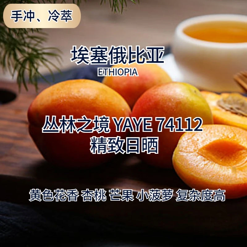 埃塞丛林之境YAYE精致日晒黄花杏桃等新产季手冲咖啡豆新鲜烘焙
