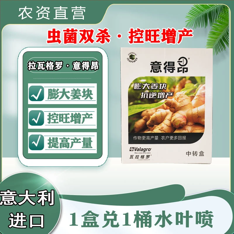 大姜叶喷肥料意大利