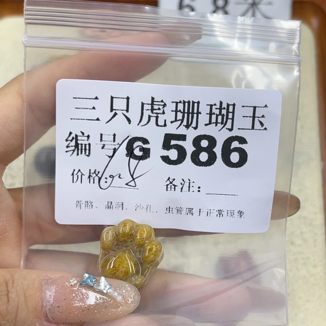 菜***子硅化珊瑚（珊瑚玉）未镶嵌h