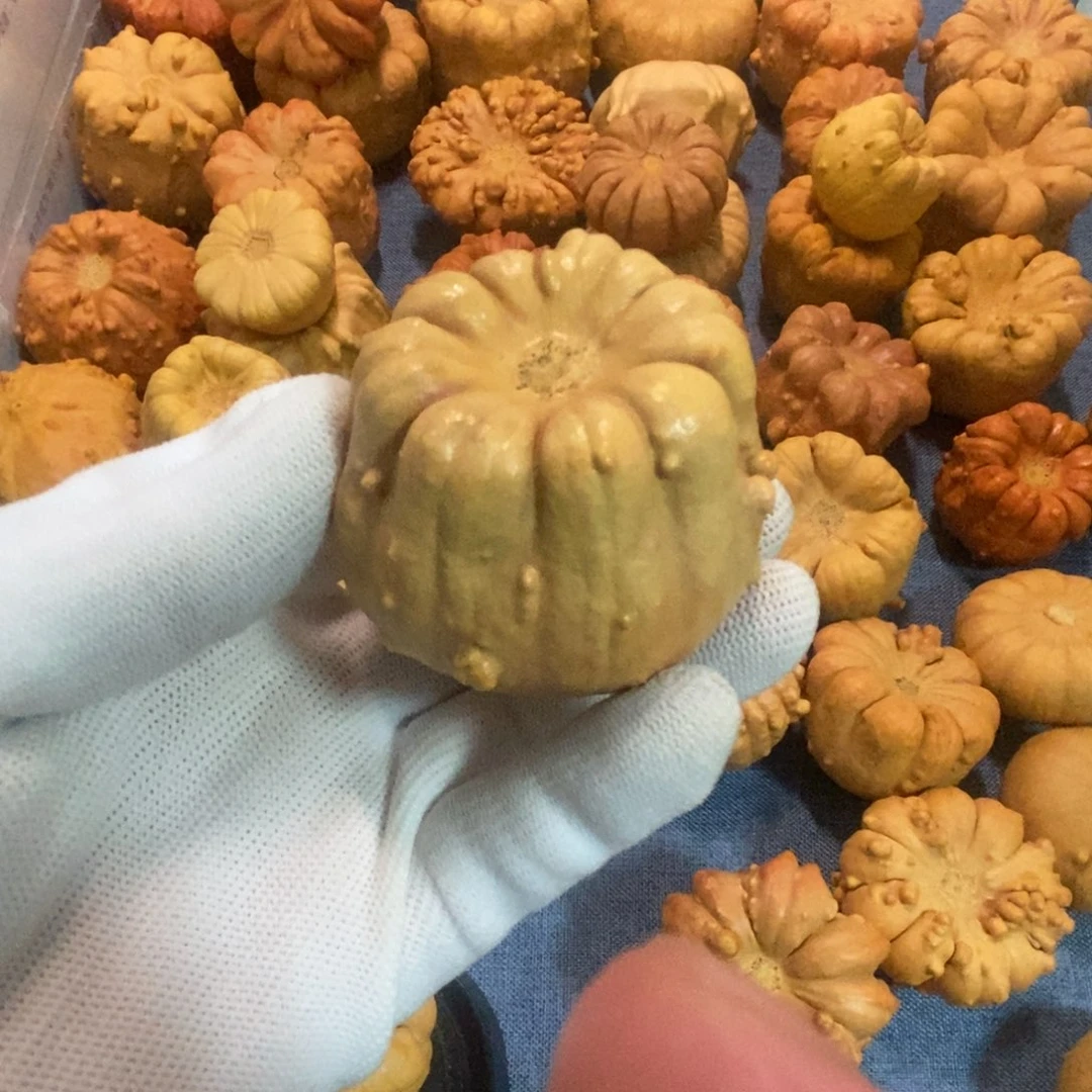 仙***气葫芦墨西哥七彩疙瘩葫芦手把件