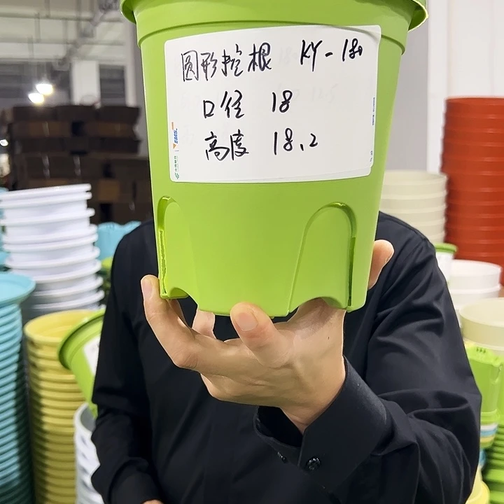 正品圆控口18高18果绿8只无托