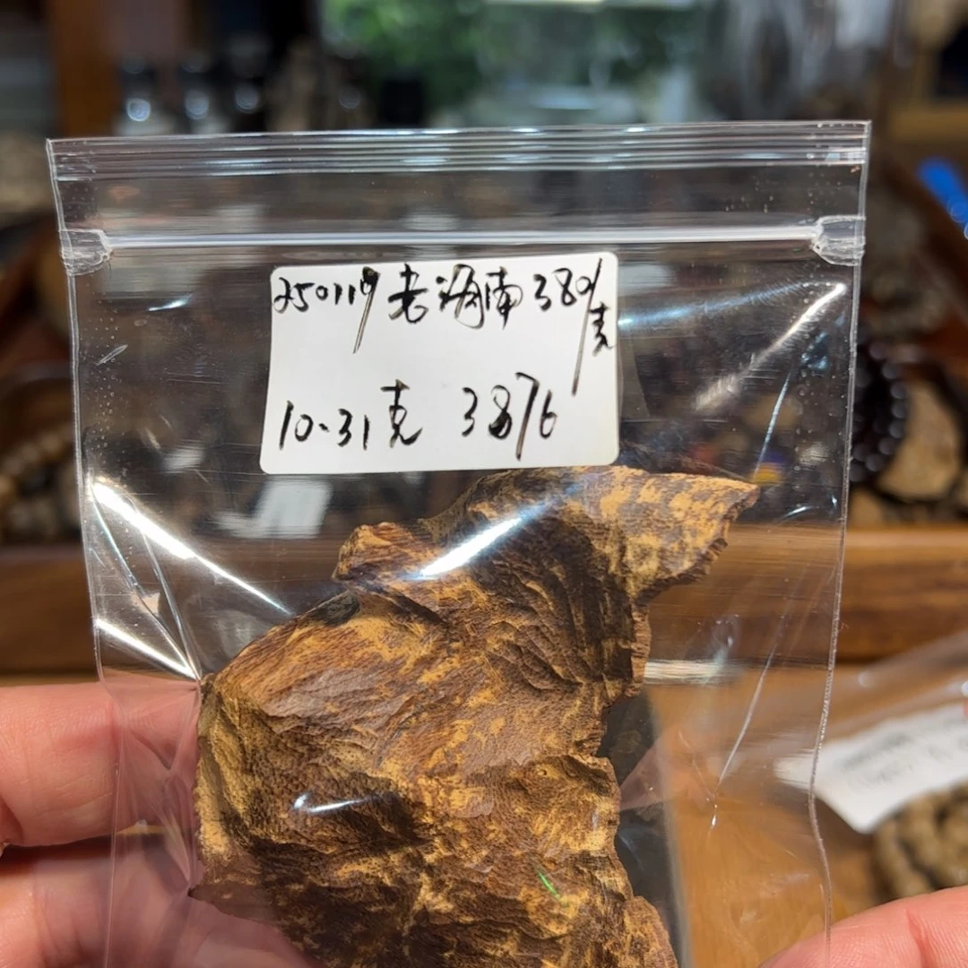木伍 250119 老海南 重约 10.31
