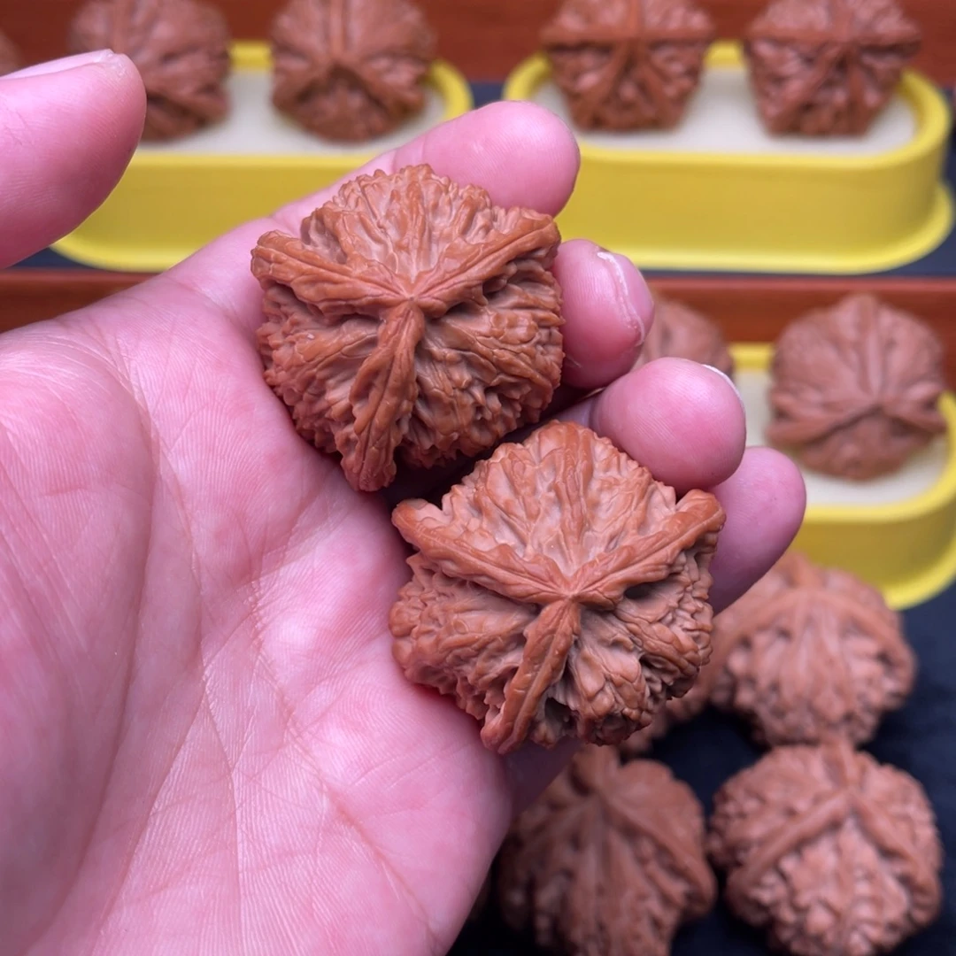 手串/手链核桃白狮子三棱42