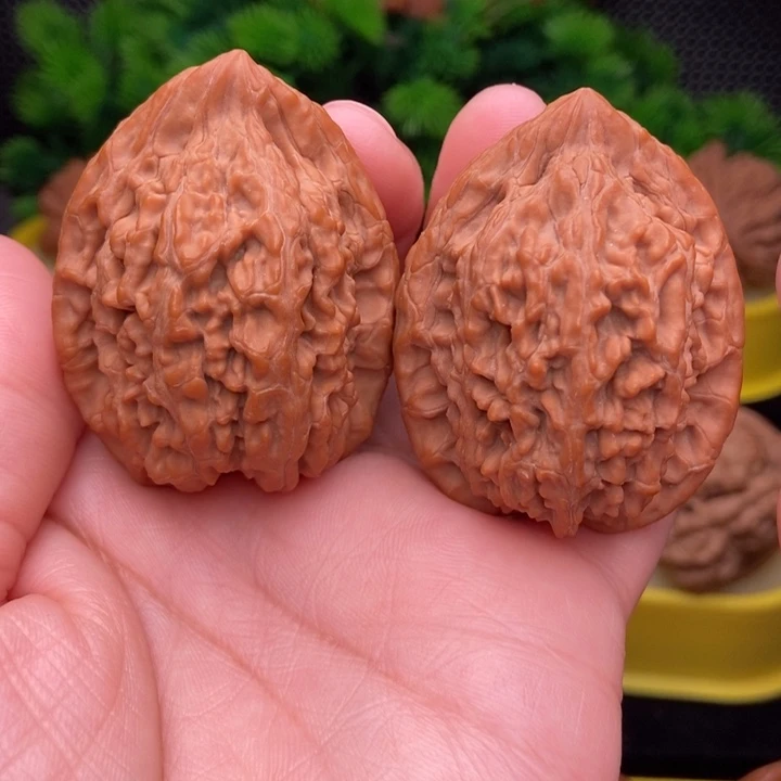 吊坠文玩核桃蚂蚁王39全品
