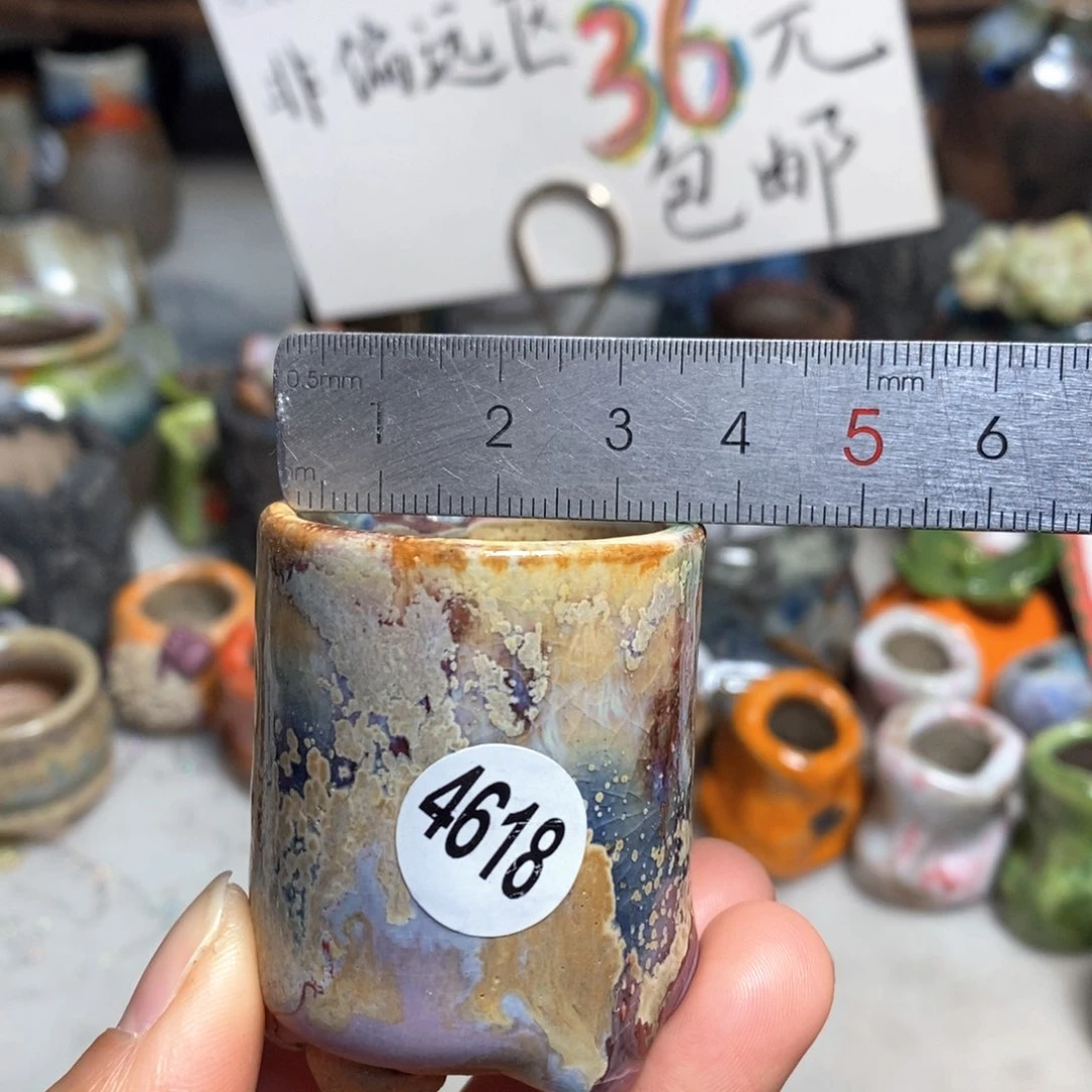 拍5送一个小礼物花盆