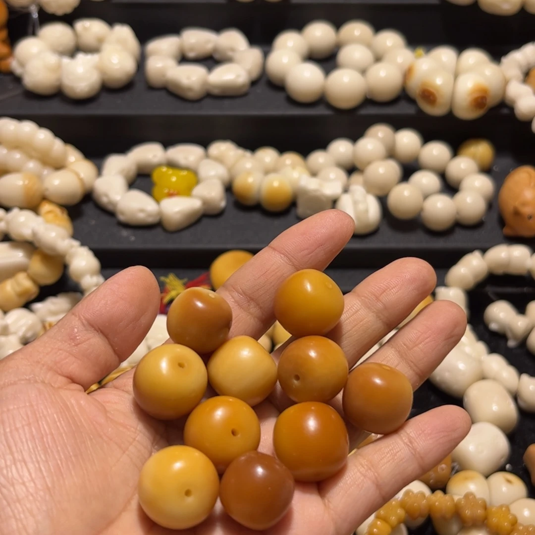 吊坠菩提根/象牙果捡漏10颗