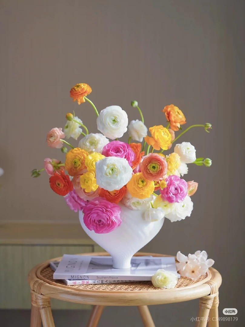 随机色洋牡丹福利 两单包邮 低温不拍保温冻坏不售后