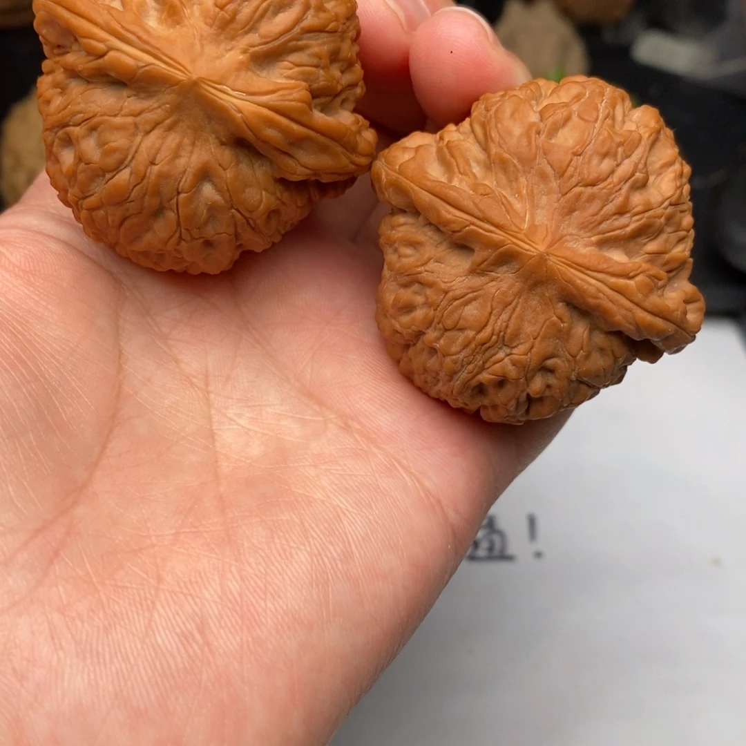 核桃手串/手链龙脉元宝