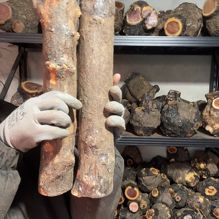 鹰***空香榧木火琉璃的故事是一个人的