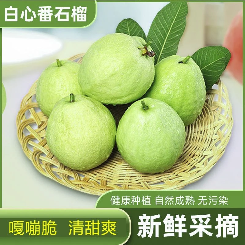 [广西番石榴]果香脆甜白心芭乐新鲜水果番石榴