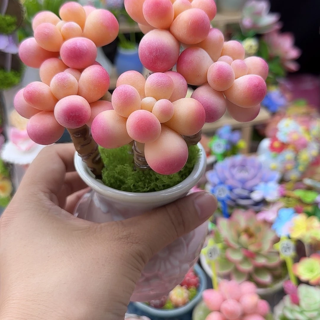 树脂粘土仿真多肉