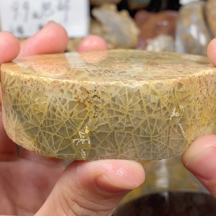 硅化玉未镶嵌颈饰