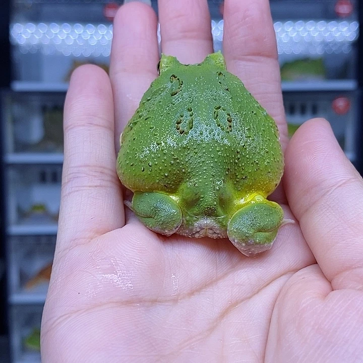 特价秒杀现货特价