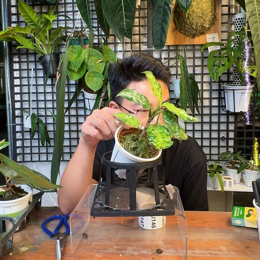 我***咸无花朵一物一拍U141