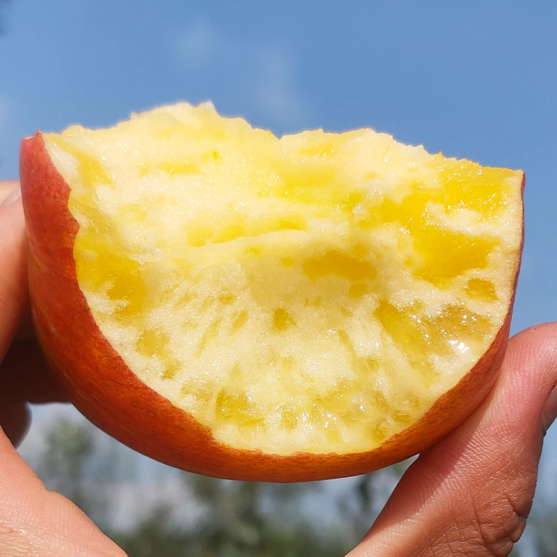 【爆甜红露冰糖心丑苹果】2025年云南昭通丑苹果2斤/5斤妈妈果园