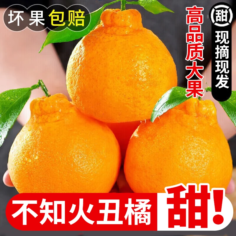 四川眉山不知火丑橘应季整箱包邮大果新鲜水果原产地回购坏果包赔