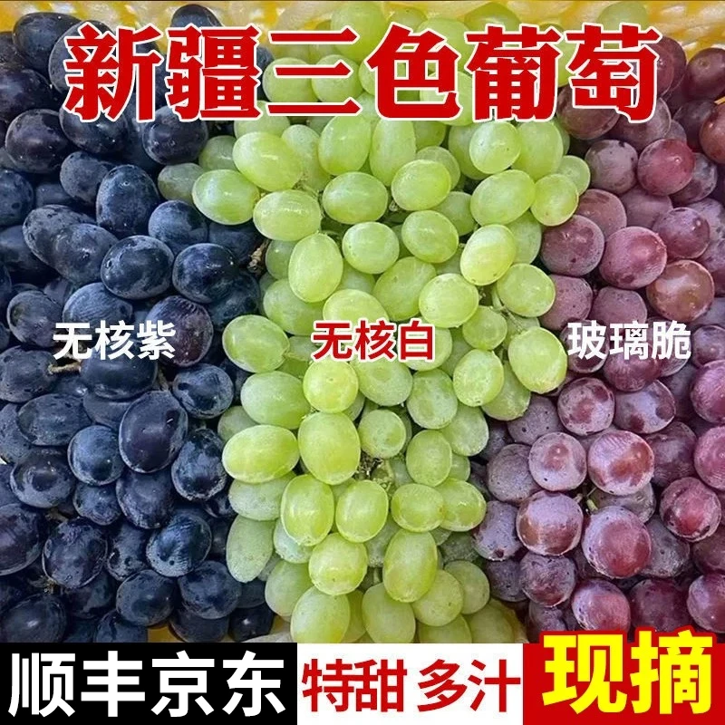 【顺丰京东】新疆吐鲁番三色葡萄玻璃翠无核白无核紫葡萄新鲜水果