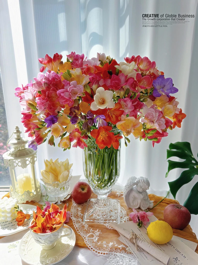 【花间物语】香雪兰 小苍兰 有香味 云南基地直发