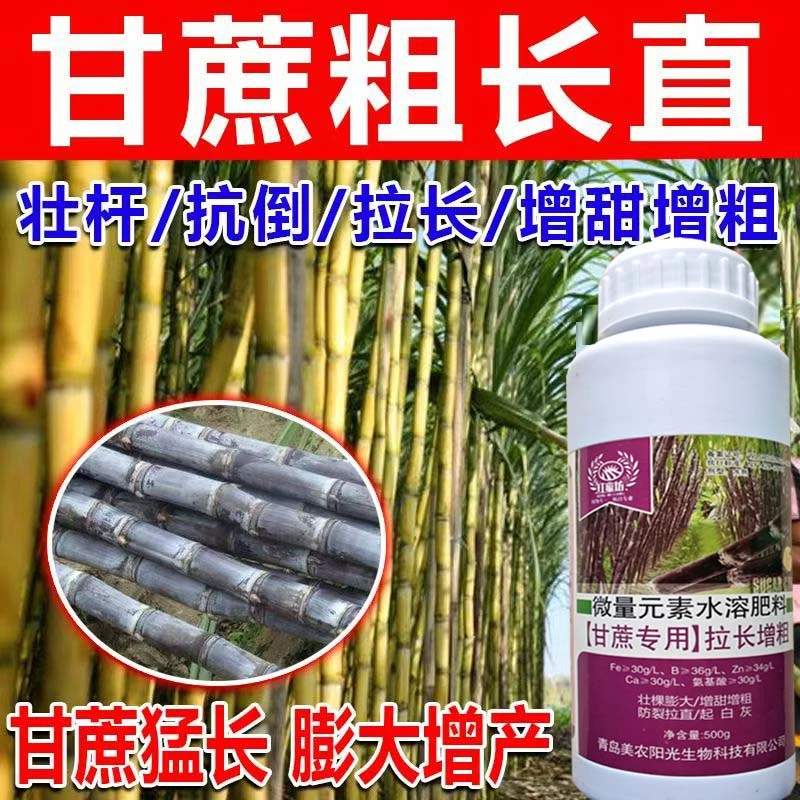 甘蔗拉长膨大素增长增粗拔节增甜叶面肥生长调节剂壮苗肥料专用肥