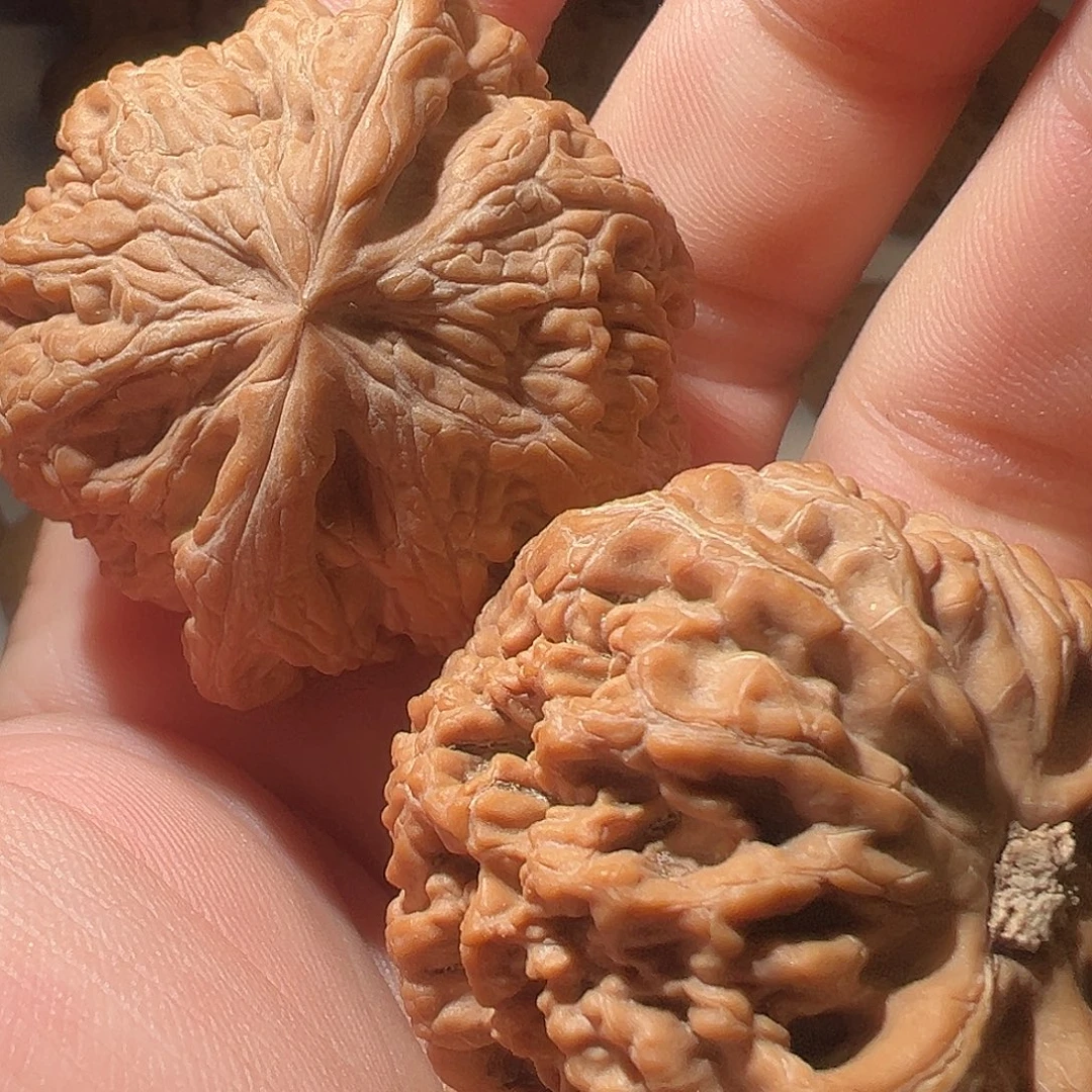 c***c把件文玩核桃文玩