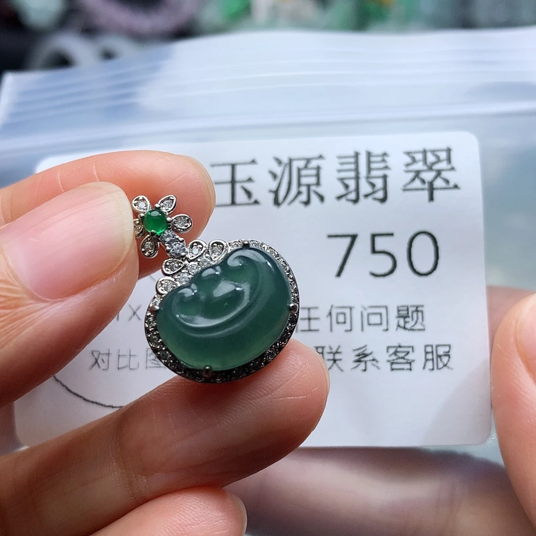 翡翠未镶嵌颈饰750