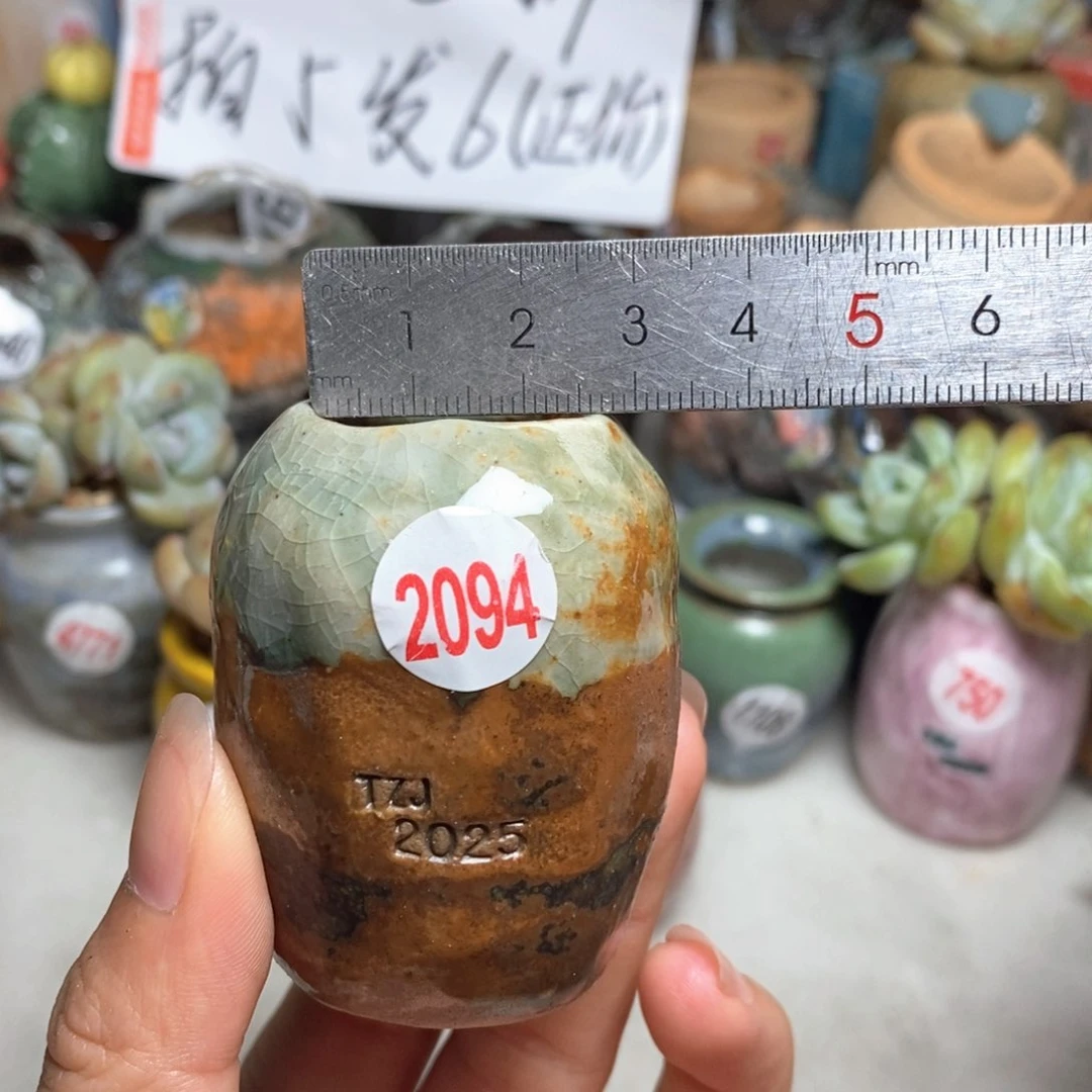 拍5送一个小礼物