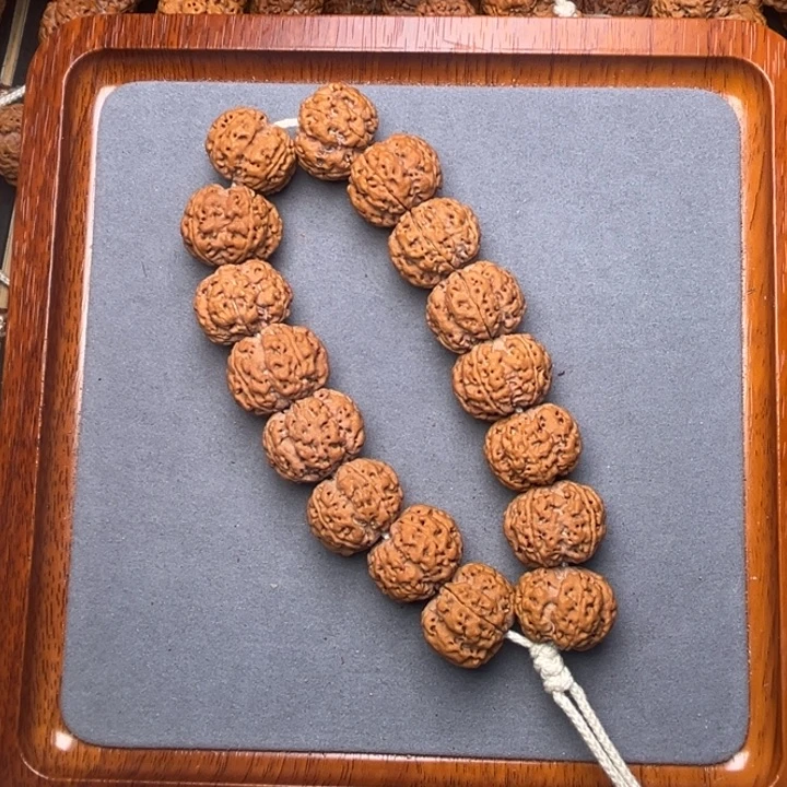 34号金刚菩提满肉梅花22